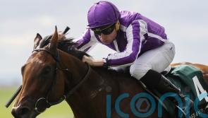 'Super horse' - Little Big Bear retired from racing