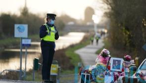 Person in hedge ‘kicking hard in cry for help’, Ashling Murphy murder trial told