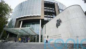 DNA sample from under Ashling Murphy’s nails matches suspect’s profile – court