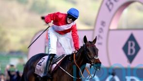 'Very special horse' - Cheltenham Gold Cup hero retired