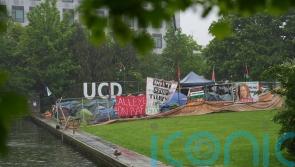 Encampment ‘just the start’ of Gaza protests at Irish universities, says student