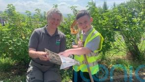 West Belfast boy discovers Northern Ireland’s first recorded water stick insect