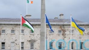 Ireland’s recognition of Palestine could be ‘catalyst’ for other EU countries