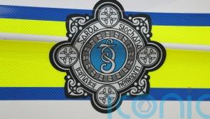 Community ‘horrified’ after woman killed in dog attack in Co Limerick
