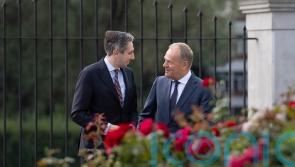 ‘Polish-Irish synergy’ can help shape European policy, Tusk tells Harris