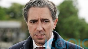 Harris condemns Fine Gael councillor’s remarks