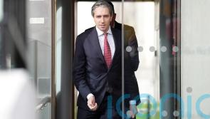 US and EU ‘need each other’, says Irish premier after Trump election win
