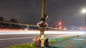 Husband and wife killed in west Dublin hit-and-run