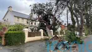 In pictures: Storm Eowyn’s 100mph winds cause disruption and destruction