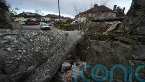 Every effort being made to restore power and electricity supplies – Taoiseach