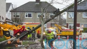 ‘Ireland needs to be more resilient to storms’ as 74,000 remain without power