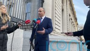 Trump’s comments on US-owned Gaza ‘concerning’ – Irish foreign affairs minister