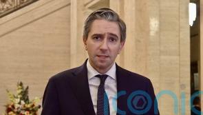 Trump creates instability but he is fond of Ireland, Irish deputy premier says