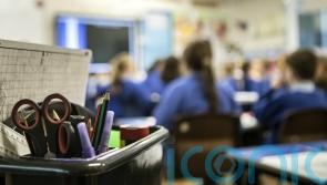 Higher rates of school absences after pandemic – report into programme finds
