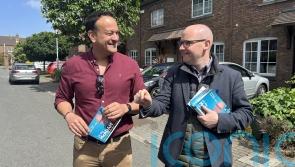 Fine Gael’s Ray McAdam elected as Dublin mayor