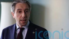 Indian representatives in Ireland want taskforce to address &lsquo;spate of attacks&rsquo;