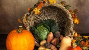 Tipperary Pumpkin Festival gets underway next weekend- Great events for October