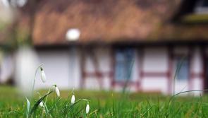 Tipperary Flower and Garden Club head off to Carlow on their annual snowdrop outing