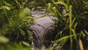 No one knows where the stream comes from but Tipperary people cleaned it up anyway