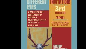 New exhibition to open at The Narrow Space Gallery in Clonmel 