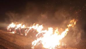  Gardaí issue appeal for information on arson attack that destroyed 40 straw bales near Cashel 