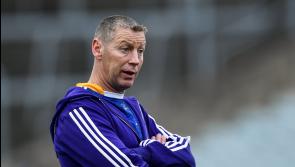 Former Limerick hurler to lead addiction and mental health awareness talk at Tipperary GAA club 