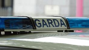 Skeletal remains discovered  by construction workers in Limerick