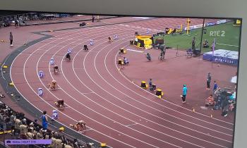 WATCH: Sharlene Mawdsley's incredible 400m heat race at World Athletics Championships