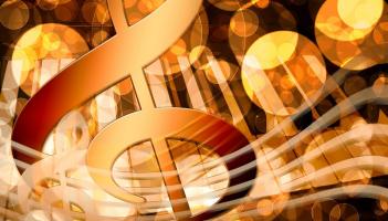 Neighs & Notes concert to raise funds for stables for rescued horses near Carrick-on-Suir