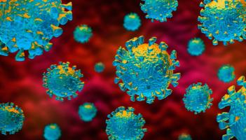 New advice on how long your immunity lasts after Covid-19 infection