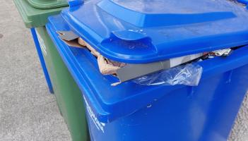 Dozens of homes without bin collection in county Tipperary town, council meeting told