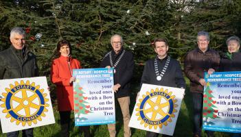 Remembrance Tree is a highlight of the festive season in Tipperary