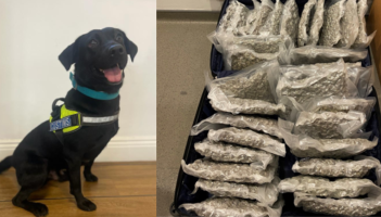 Man arrested after Revenue seize over &euro;600k worth of drugs