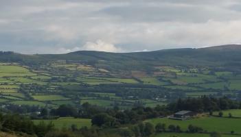 ALERT: Road closed overnight in Tipperary due to fallen tree and downed electricity cables