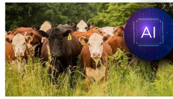 WOW: Tipperary firm ploughing ahead after launch of new farming AI assistant