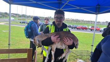Students organise three-day Tír na nÓg youth festival which will take place in Tipperary