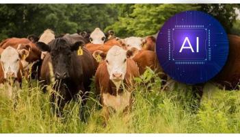 Tipperary agritech company named as finalist in Enterprise Ireland’s Innovation competition