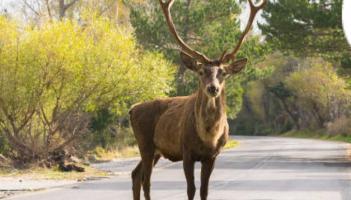 Urgent warning issued for motorists in Tipperary following spate of accidents