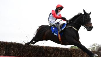 Clonmel Oil Chase Day includes the feature race of the year at this Tipperary racecourse