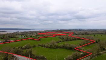 'Auction cancelled' - Major development as huge 44.5-acre site in Tipperary is sold