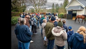 World-class stallions on show for Irish Stallion Trail in January