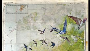 New contemporary art space is about to be launched in Tipperary