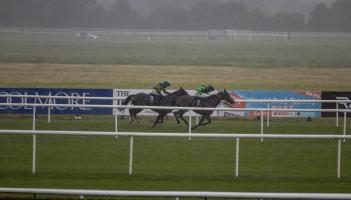 Alternative temporary venues announced for Tipperary horse racing fixtures