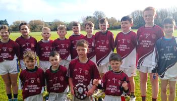 PICTURE: Celebrations as national school in Tipperary retains county title after recent win