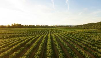 Over &euro;129m issued across Tipperary in 2025 by the Department of Agriculture, Food and the Marine