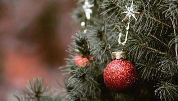 Tipp County Council announce free Christmas tree return scheme