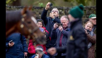 Three Tipperary stud farms will showcase equine champions in Irish Stallion Trail