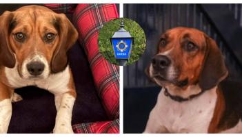 Tipperary Tipperary Tipperary 