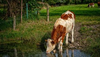 REVEALED: Tipperary farmers told to lead efforts to protect the county&rsquo;s water resources