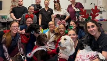 Tipperary Tipperary Tipperary 